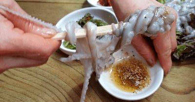 Самые опасные деликатесы в мире: "живое" щупальце осьминога "задушило" голодного мужчину - focus.ua - Южная Корея - Украина - Япония - Корея