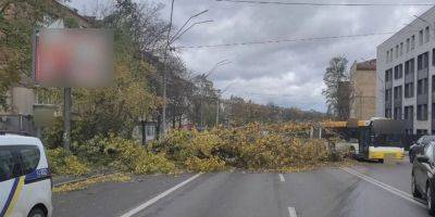 Вільям Бернс - В Киеве затруднено движение транспорта из-за непогоды: список улиц - nv.ua - Украина - місто Киев