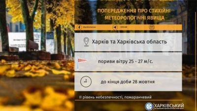 Ветер на Харьковщине усилится в ближайшее время и будет таким до конца суток - objectiv.tv - Харьковская обл. - Харьков