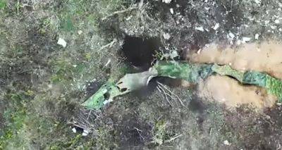 Бойцы ГПСУ уничтожили оккупантов - те оборудовали окопы под Бахмутом - видео - apostrophe.ua - Россия - Украина - Донецкая обл. - Оккупанты