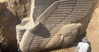 Мифическое чудо шумеров. Археологи обнаружили статую ассирийской богини-защитницы ламасу (фото) - focus.ua - Украина - Ирак - Находка