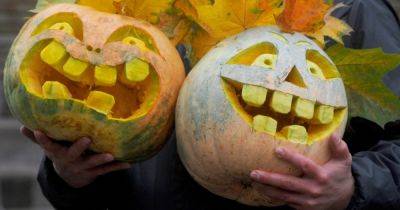 Утилизируют тоннами: ученый рассказал, почему не стоит выбрасывать тыквы после Хэллоуина - focus.ua - США - Украина - Англия
