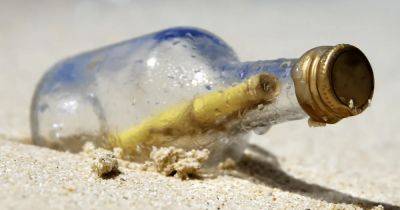 Записка мертвеца: на пляже влюбленные нашли жуткое послание в бутылке с прахом (видео) - focus.ua - Украина - Австралия