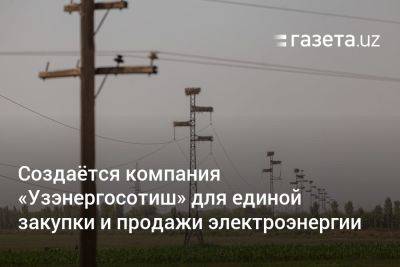 Создаётся компания «Узэнергосотиш» для единой закупки и продажи электроэнергии - gazeta.uz - Узбекистан