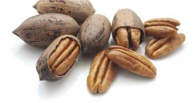 Может снизить риск сердечных заболеваний и диабета: полезные свойства ореха пекан - dsnews.ua - Украина