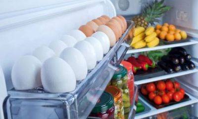 Эту ошибку повторяют в каждой семье: где в холодильнике яйца будут портиться быстрее всего - hyser.com.ua - Украина