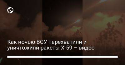 Николай Олещук - Как ночью ВСУ перехватили и уничтожили ракеты Х-59 – видео - liga.net - Украина