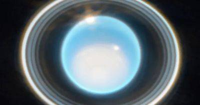 Какая сила стоит за формированием колец Урана: причина крылась недалеко от самой планеты (фото) - focus.ua - Украина