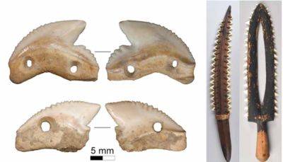 В Индонезии нашли ножи с зубами акулы старше 7 тысяч лет - фото - apostrophe.ua - Украина - Египет - Индонезия - Находки