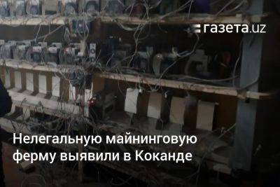 Нелегальную майнинговую ферму выявили в Коканде - gazeta.uz - Узбекистан