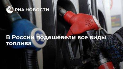 Александр Новак - В РФ все виды топлива подешевели на 1-3% - smartmoney.one - Россия - Санкт-Петербург