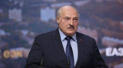 Александр Лукашенко - Лукашенко требует от России компенсацию из-за более позднего ввода в эксплуатацию Белорусской АЭС - pravda.com.ua - Россия - Белоруссия