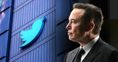 Илон Маск - Сбитая птичка: соцсеть X теперь стоит вдвое меньше, чем ее купил Илон Маск - focus.ua - США - Украина - Twitter