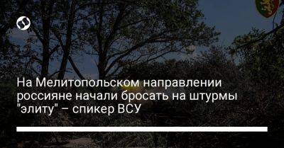 Александр Штупун - На Мелитопольском направлении россияне начали бросать на штурмы "элиту" – спикер ВСУ - liga.net - Россия - Украина