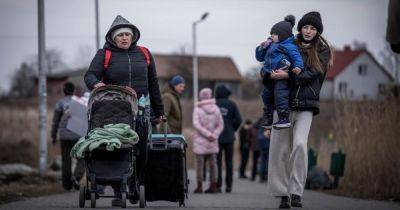 Петр Мюллер - Денег больше не будет? Почему в Польше решили проверить выплаты беженцам - focus.ua - Украина - Польша