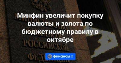 Минфин увеличит покупку валюты и золота по бюджетному правилу в октябре - smartmoney.one