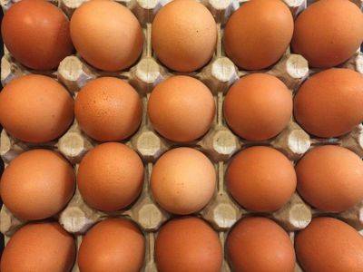 В России ускорился рост цен на яйца, а курица стала дорожать медленнее - smartmoney.one - Россия