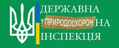 Ликвидация Госэкоинспекции ставит под угрозу возможность сопротивления агрессору: Руслана Стрельца предостерегли от подыгрывания врагу - akcenty.com.ua - Украина