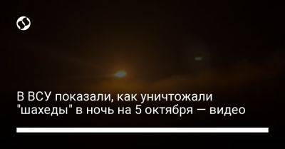 Николай Олещук - В ВСУ показали, как уничтожали "шахеды" в ночь на 5 октября — видео - liga.net - США - Украина