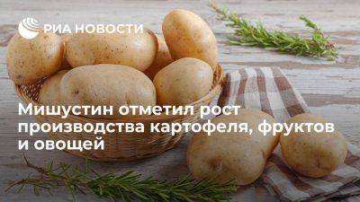 Михаил Мишустин - Мишустин: у россиян не будет недостатка при выборе картофеля, фруктов и овощей - smartmoney.one - Россия