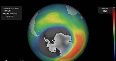 26 миллионов км². Озоновая дыра почти достигла своего пикового размера, и может стать еще больше - focus.ua - США - Украина - Бразилия - Антарктида - Тонга