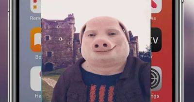 "Стало не до смеха": мужчина получает жуткие изображения человека c лицом свиньи (фото) - focus.ua - Украина - Англия - Великобритания