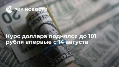 Курс доллара на Московской бирже поднялся до 101,12 рубля впервые с 14 августа - smartmoney.one
