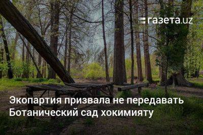 Экопартия Узбекистана призвала не передавать Ботанический сад хокимияту Ташкента - gazeta.uz - Узбекистан - Ташкент