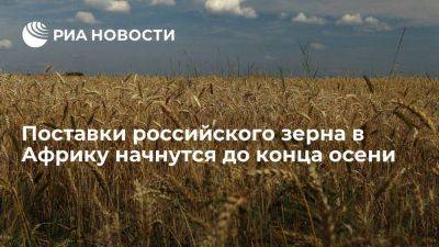 Владимир Путин - Тайип Эрдоган - Дмитрий Патрушев - Патрушев: поставки российского зерна в Африку начнутся в течение месяца-полутора - smartmoney.one - Россия - Сочи - Турция