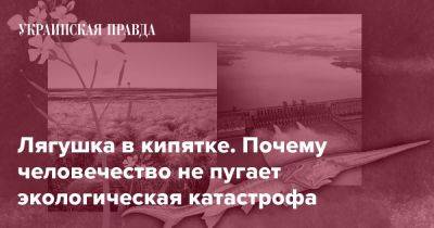 Лягушка в кипятке. Почему человечество не пугает экологическая катастрофа - pravda.com.ua