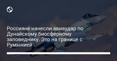 Россияне нанесли авиаудар по Дунайскому биосферному заповеднику. Это на границе с Румынией - liga.net - Россия - Украина - Румыния - Одесская обл.