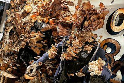 Сходить за хлебушком и попасть в The Last of Us – калифорнийская пекарня создала грибного зомби из выпечки для конкурса - itc.ua - Украина - San Francisco - шт. Калифорния