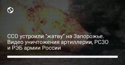 ССО устроили "жатву" на Запорожье. Видео уничтожения артиллерии, РСЗО и РЭБ армии России - liga.net - Россия - Украина - Запорожская обл. - Запорожье