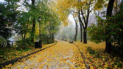 Погода в Украине - 9 октября до +8, сильный ветер - прогноз погоды и карта - apostrophe.ua - Украина