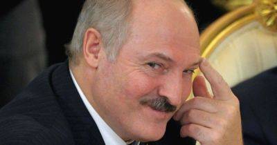 Александр Лукашенко - Илон Маск - "По принципу Starlink": Лукашенко показали Wi-Fi-агрегат с антенной (ВИДЕО) - dsnews.ua - США - Украина - Белоруссия - Минск