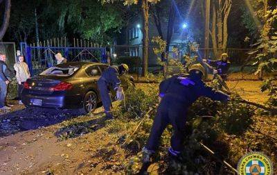 В Киеве ураган повалил деревья, опасность сохраняется - korrespondent.net - Украина - Киев