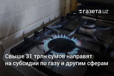 Сколько субсидий выделят из госбюджета на субсидии по газу, электричеству и другим сферам в Узбекистане - gazeta.uz - Узбекистан