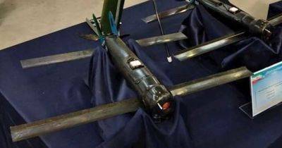 Иран испытал дрон Sina — копию американского барражирующего боеприпаса Switchblade 300 - focus.ua - Украина - Иран