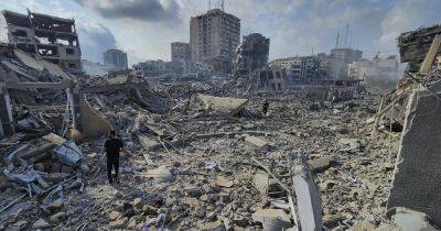 Владимир Зеленский - За сутки из сектора Газа эвакуировали еще 160 украинцев, - Зеленский - dsnews.ua - Украина - Египет - Молдавия