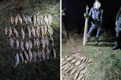 Наловил рыбы на 100 тыс. грн: на Харьковщине поймали браконьера - objectiv.tv