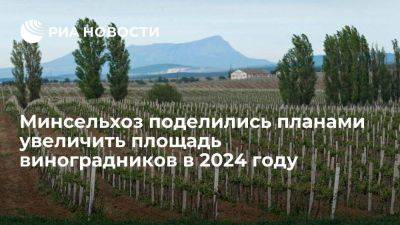 Минсельхоз: в России в 2024 году заложат 6 тысяч гектаров новых виноградников - smartmoney.one - Россия