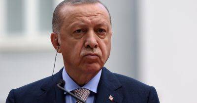 Реджеп Тайип Эрдоган - Эрдоган раскритиковал Блинкена: тот "совершил самую большую ошибку", когда заявил о своем еврейском происхождении - dsnews.ua - США - Украина - Израиль - Турция - Тель-Авив - Стамбул