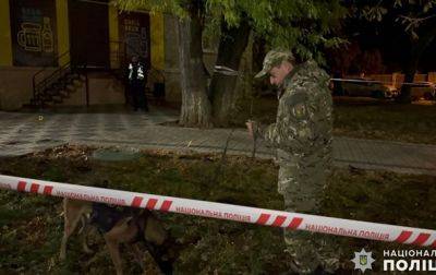 В Николаеве задержали мужчину, который устроил стрельбу и ранил человека - korrespondent.net - Украина - Киев - Одесса - Николаев
