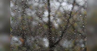 Сильный мокрый снег на западе и грозы на юге: выходные в Украине будут дождливыми и ветреными, но не везде - fakty.ua - Украина - Киев - Крым
