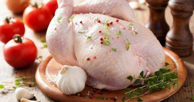 Диетическое куриное мясо: какую часть курицы не желательно вообще есть - dsnews.ua - Украина