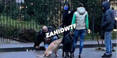 Во Львове пенсионер ударил мужчину ножом в грудь и живот из-за ссоры во время выгула собак — видео - nv.ua - Украина - Львов