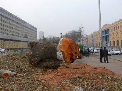 Они убили сердце Ташкента. Воспоминания о сквере, который уже никогда не вернуть - podrobno.uz - Узбекистан - Ташкент