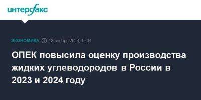 ОПЕК повысила оценку производства жидких углеводородов в России в 2023 и 2024 году - smartmoney.one - Москва - Россия