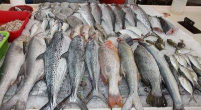 Держитесь от такой подальше: как быстро проверить свежесть рыбы в магазине или на рынке - hyser.com.ua - Украина