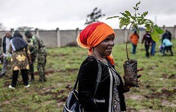 В Кении отправили всех на выходной для посадки 100 млн деревьев - charter97.org - Белоруссия - Кения